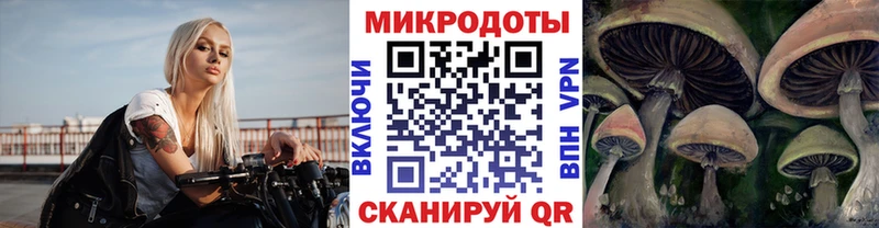 Псилоцибиновые грибы Psilocybe  Мурино 